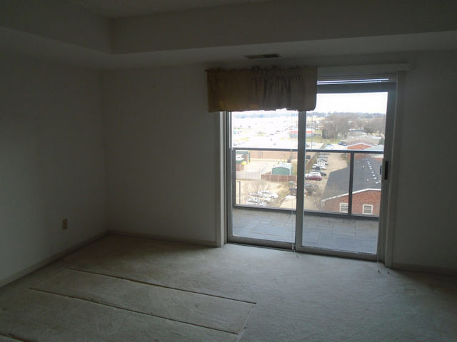 1133 North 7th Street, Unit 706 Rochelle, IL 61068 - Photo 5 of 8