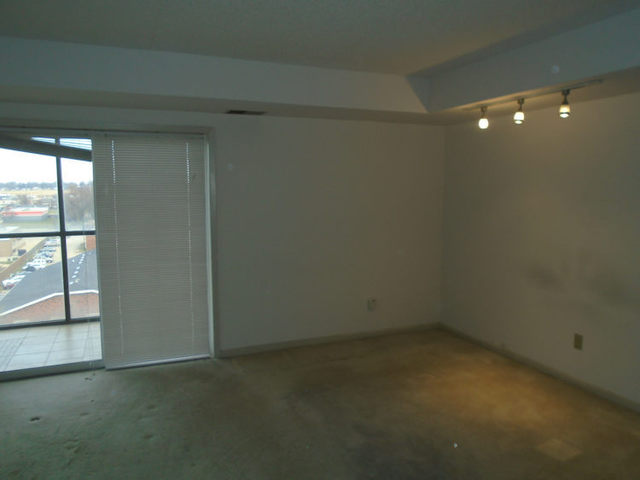 1133 North 7th Street, Unit 706 Rochelle, IL 61068 - Photo 6 of 8