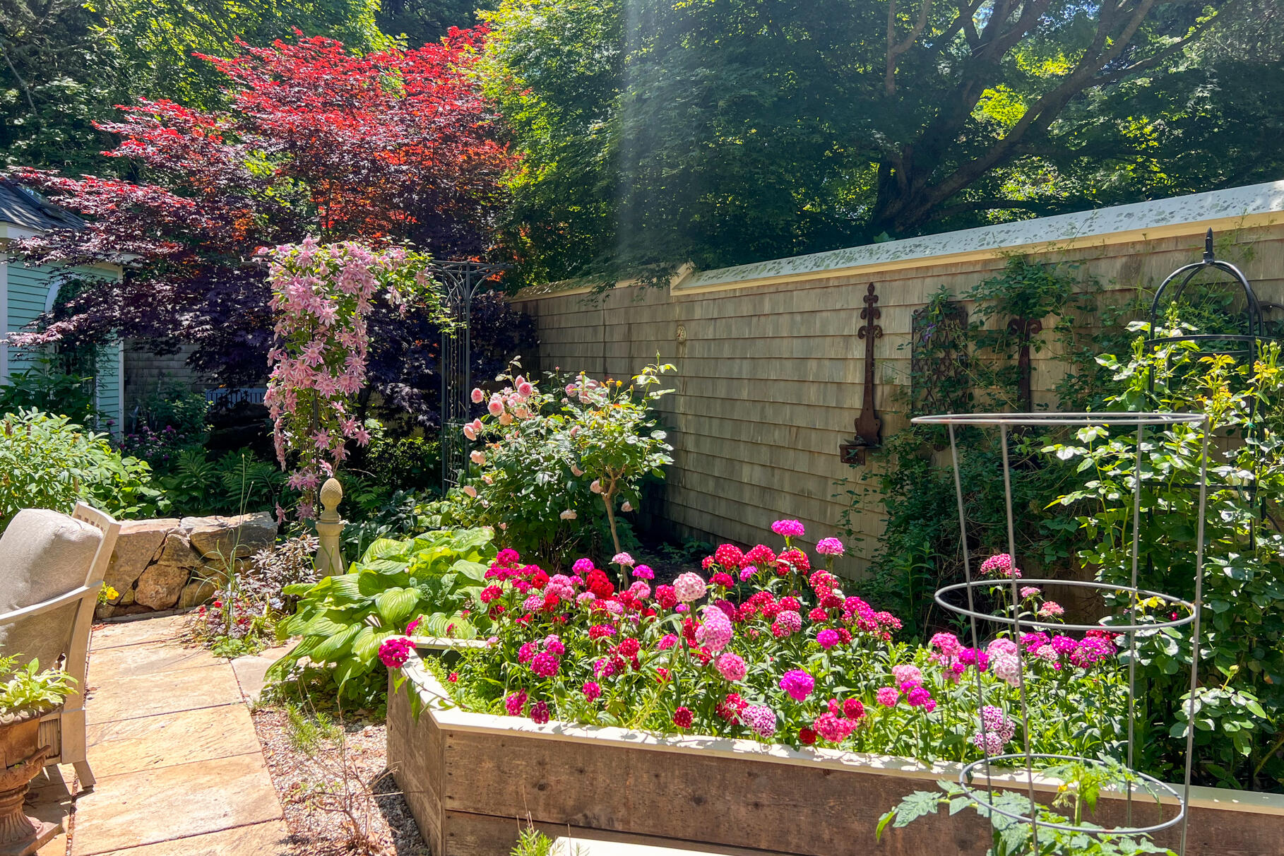117 Gardiner Road Woods Hole, MA 02543 - Photo 51 of 81 a bunch of flowers are in a yard