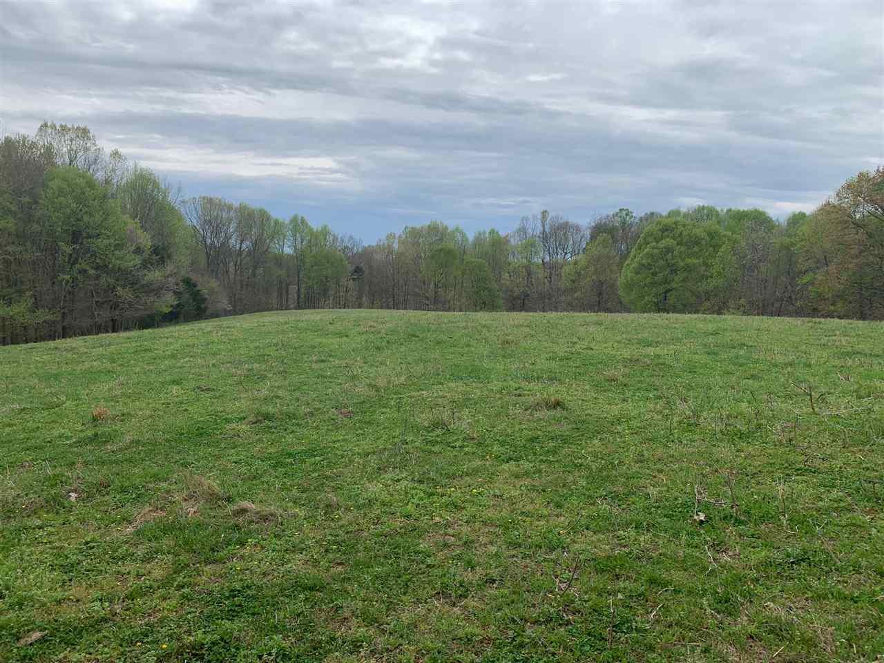 0 Kelly Veach Road Fountain Run, KY 42133 - Photo 3 of 13 Gallery Image 3