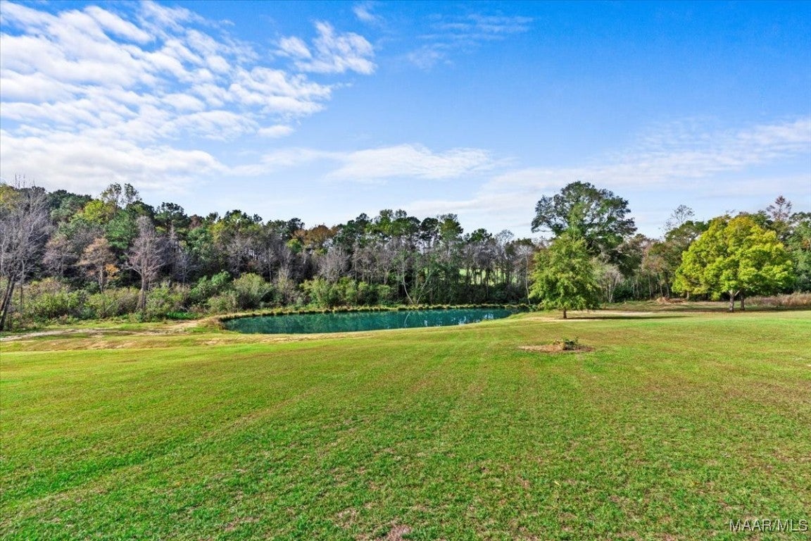431 Johnny Murphy Road Dothan, AL 36301 - Photo 50 of 75 Gallery Image 50
