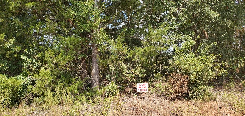 5-acres 5-acres Ame Road Dothan, AL 36301 - Photo 1 of 1
