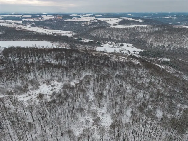 $499,000 | 1870 Reiman Road, Greenwood, NY 14839