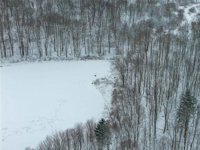 $499,000 | 1870 Reiman Road, Greenwood, NY 14839