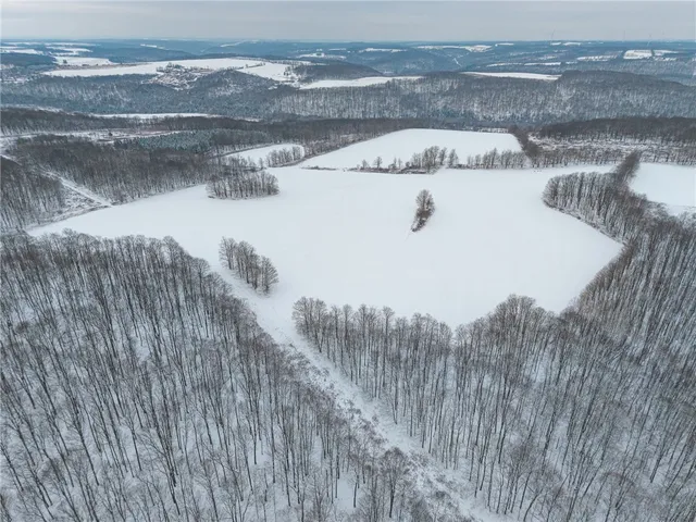 $499,000 | 1870 Reiman Road, Greenwood, NY 14839