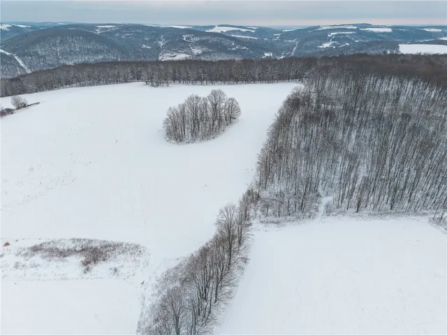 $499,000 | 1870 Reiman Road, Greenwood, NY 14839