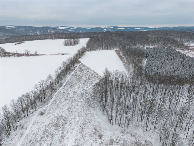 $499,000 | 1870 Reiman Road, Greenwood, NY 14839