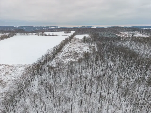 $499,000 | 1870 Reiman Road, Greenwood, NY 14839