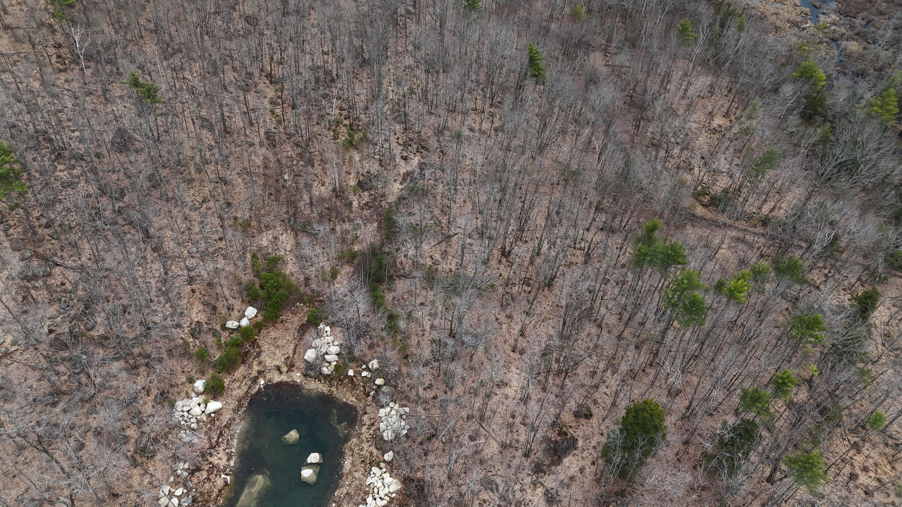 Lot 6 Silver Ridge Norway, ME 04268 - Photo 5 of 11 Pic 3 copy