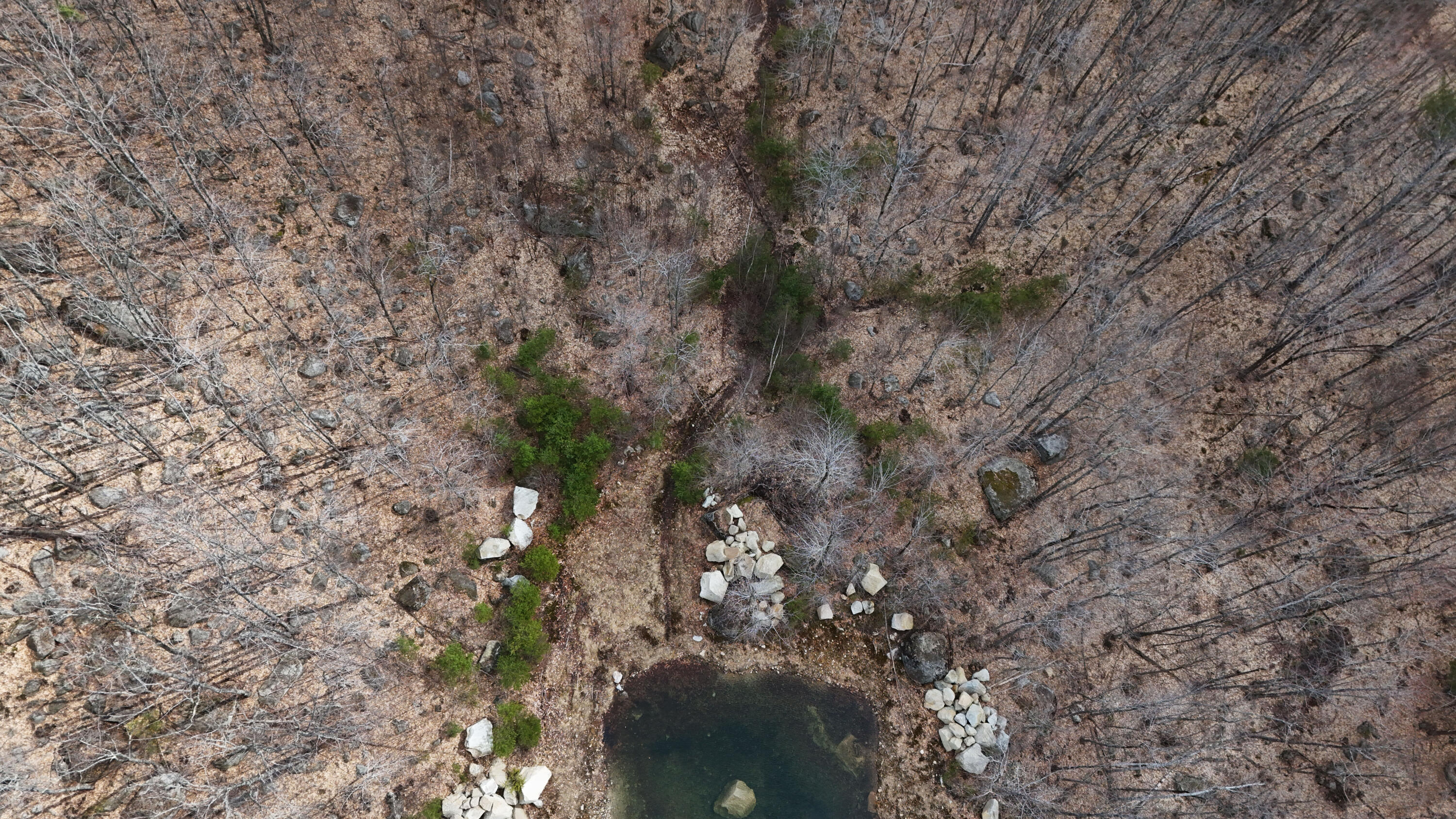 Lot 6 Silver Ridge Norway, ME 04268 - Photo 6 of 11 Pic 5 copy