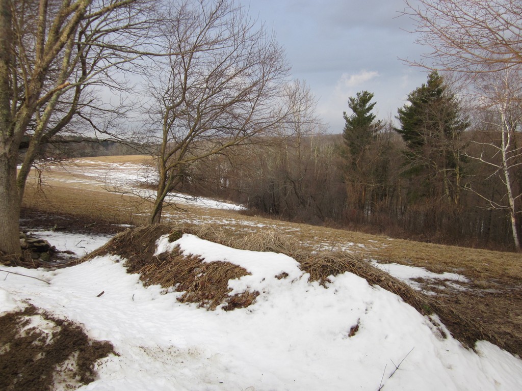 17 Mitchell Hill Road Brookfield, MA 01506 - Photo 19 of 19 Gallery Image 19