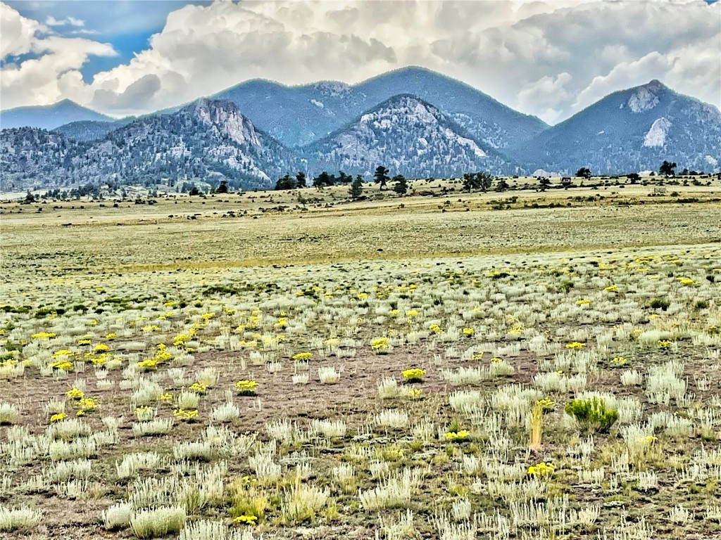 1561 Imboden Road Lake George, CO 80827 - Photo 13 of 18 Gallery Image 13