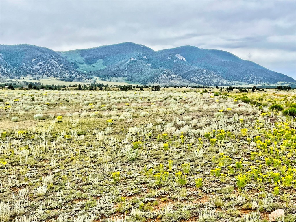 1561 Imboden Road Lake George, CO 80827 - Photo 16 of 18 Gallery Image 16