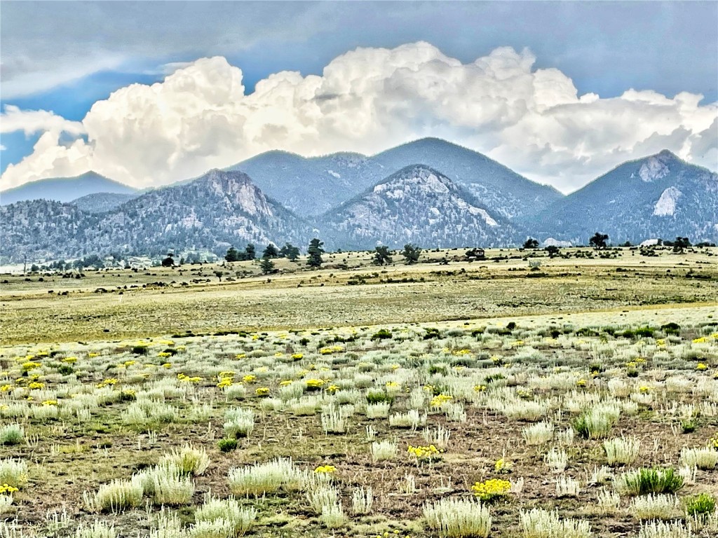 1561 Imboden Road Lake George, CO 80827 - Photo 5 of 18 Gallery Image 5