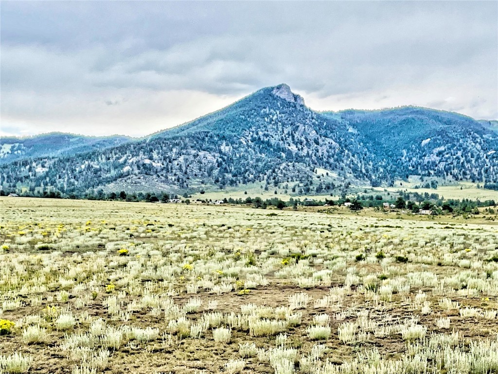 1561 Imboden Road Lake George, CO 80827 - Photo 6 of 18 Gallery Image 6