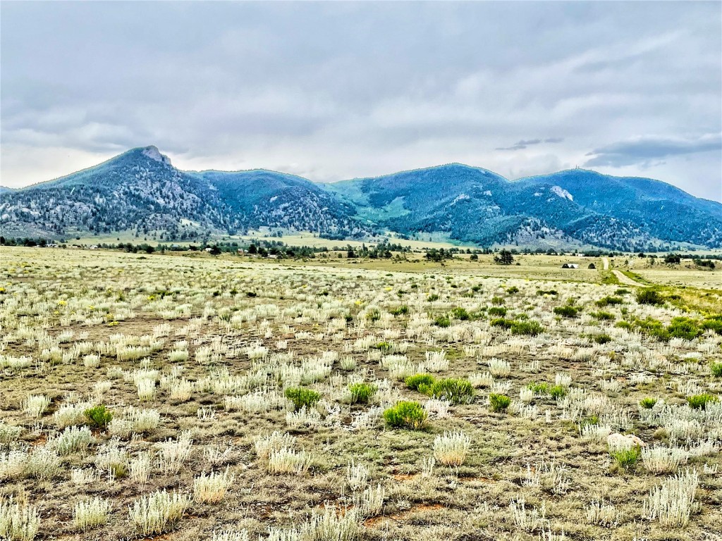 1561 Imboden Road Lake George, CO 80827 - Photo 7 of 18 Gallery Image 7