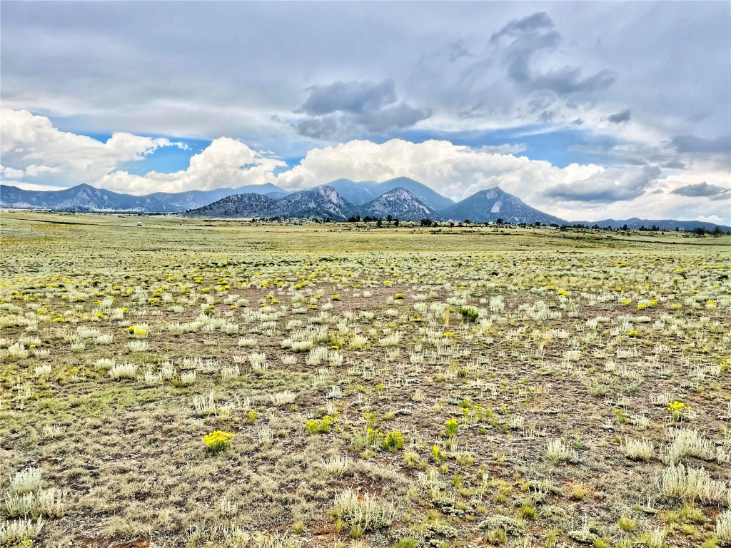 1561 Imboden Road Lake George, CO 80827 - Photo 10 of 18 Gallery Image 10