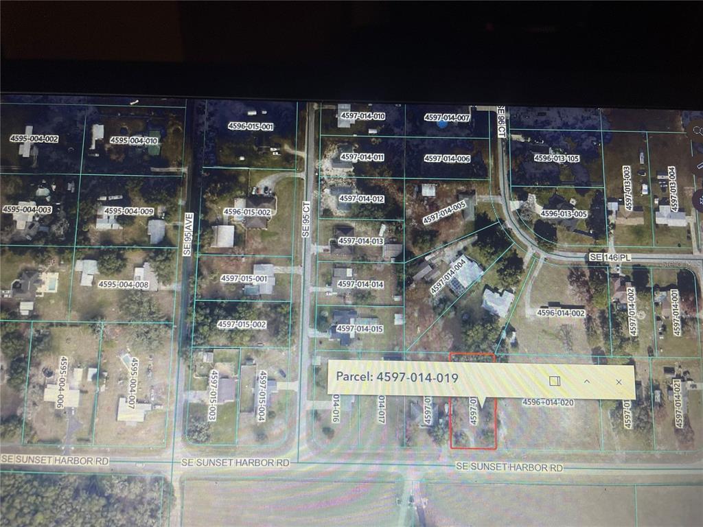 Tbd Southeast Sunset Harbor Road Summerfield, FL 34491 - Photo 4 of 4 Gallery Image 4