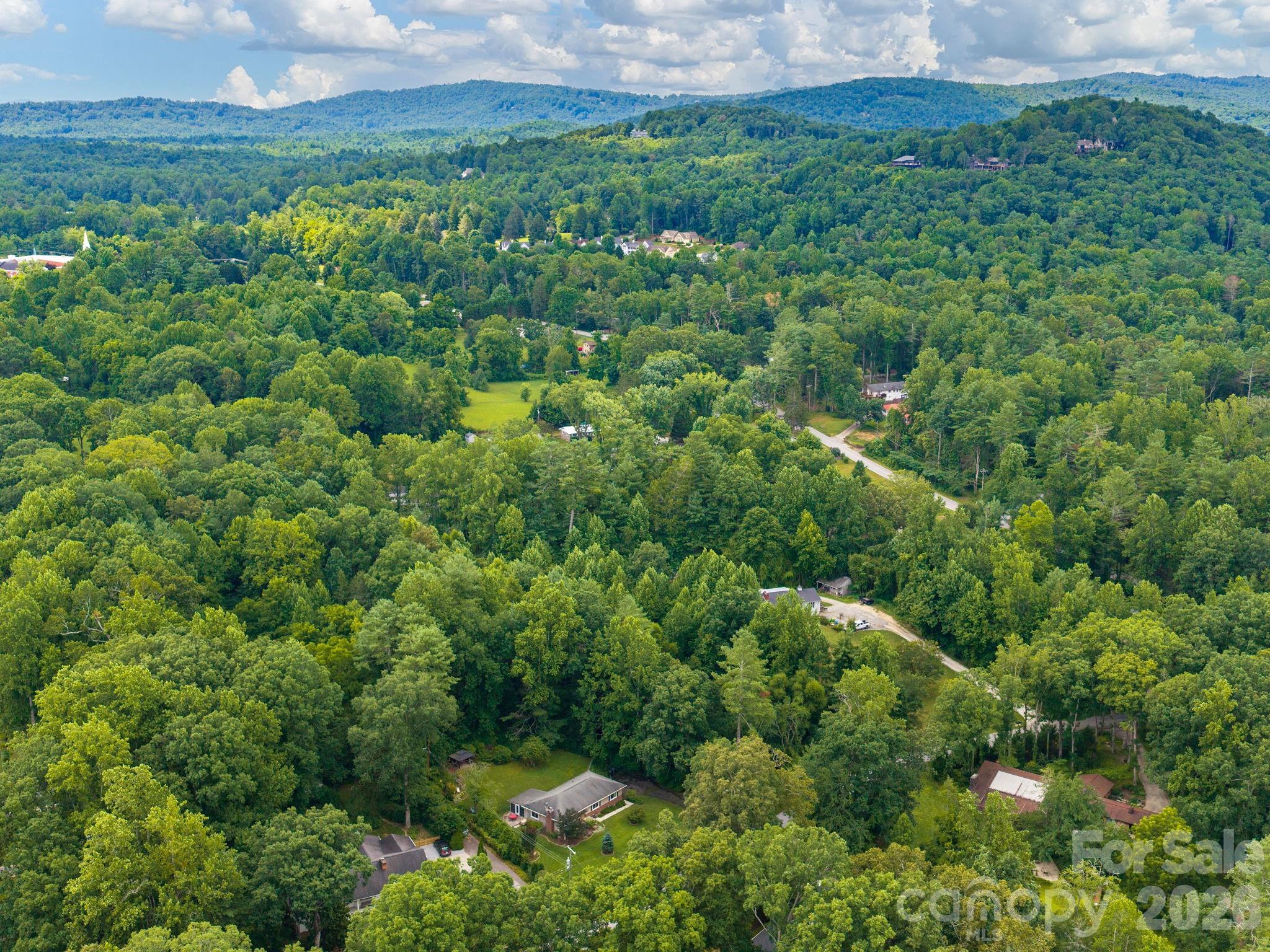 112 Lyndale Road Hendersonville, NC 28739 - Photo 28 of 30