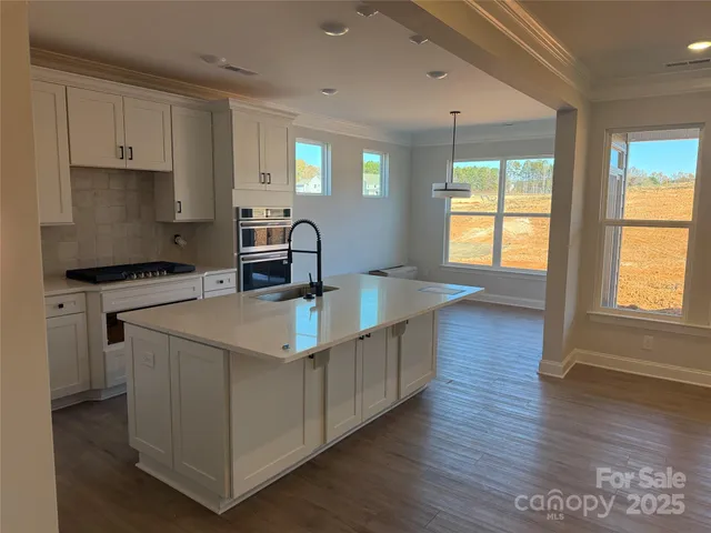 a kitchen with counter top space cabinets and wooden floor