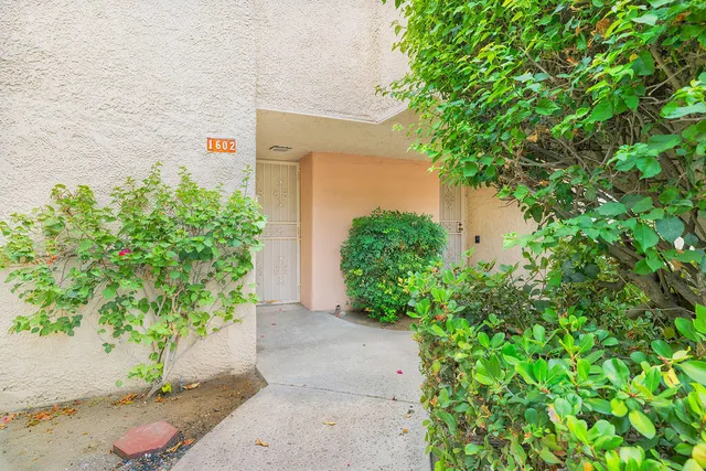 a view of a plants with potted plants