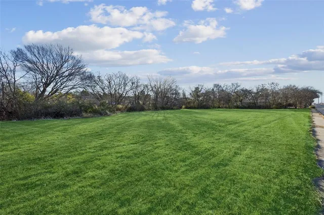 a view of a big yard with plants and large trees