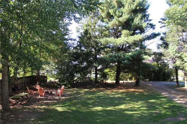 a view of a park with large trees