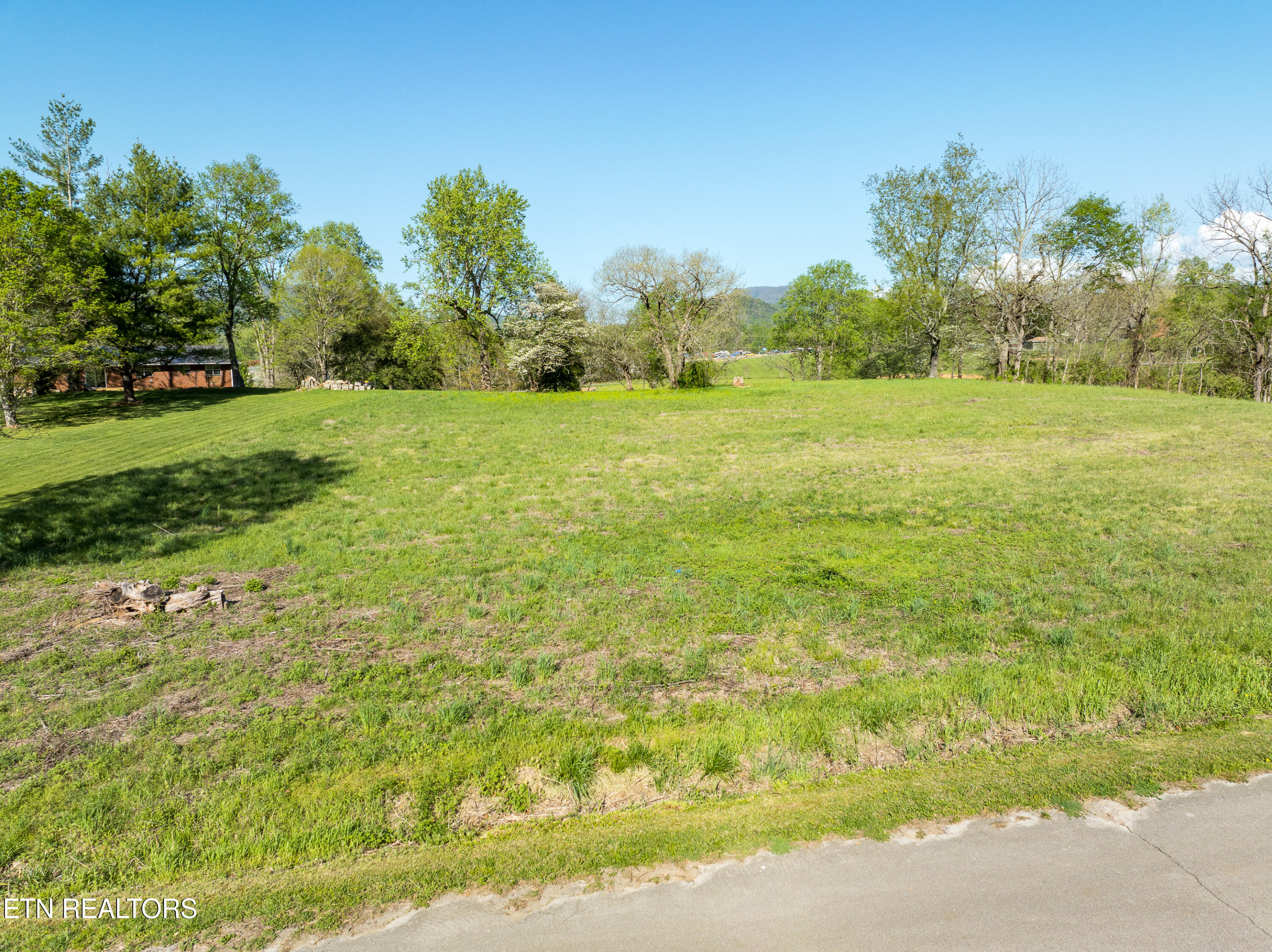 East Chestnut Hill Road Townsend, TN 37882 - Photo 3 of 17 DSC_3625-3