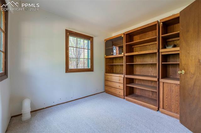 10145 Wildwood Road Cascade, CO 80809 - Photo 22 of 29 Gallery Image 22