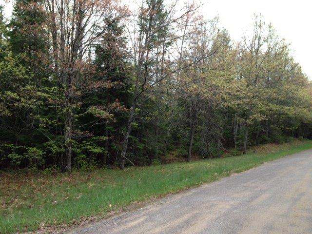 Three Military Road, Unit LOT 1 Three Lakes, WI 54562 - Photo 2 of 5 Gallery Image 2