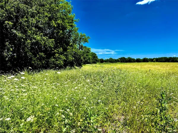 a view of a green yard
