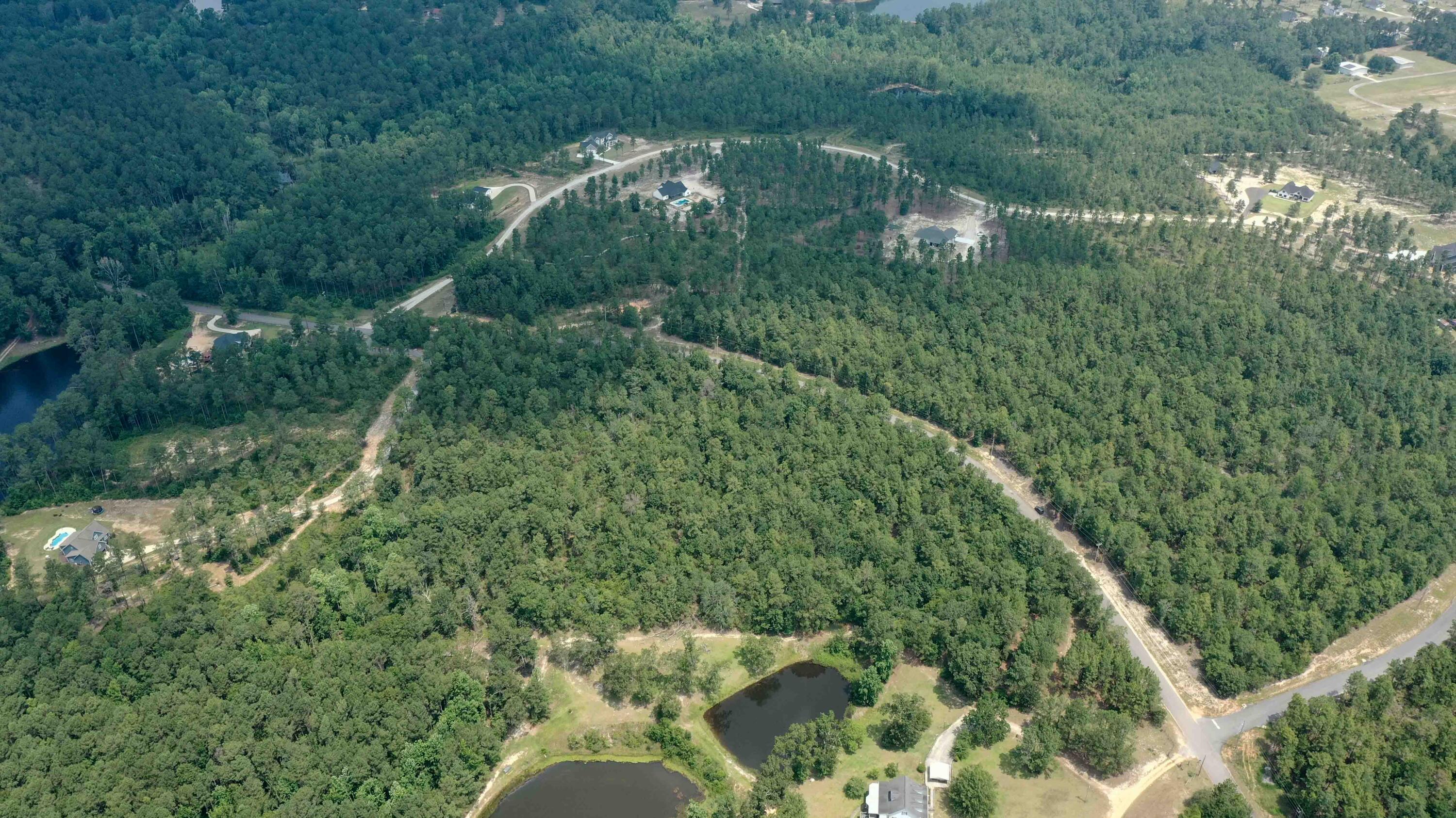 7 Mt Zion Road Williston, SC 29853 - Photo 8 of 15