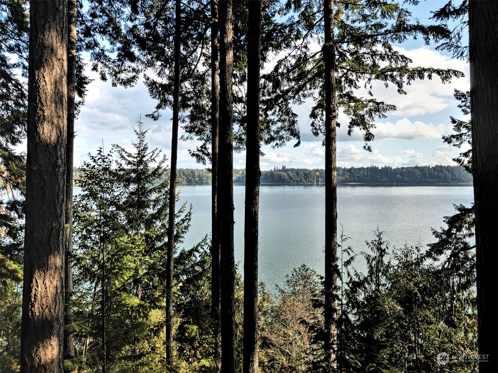 898 Dahman Road Southeast Shelton, WA 98584 - Photo 2 of 40