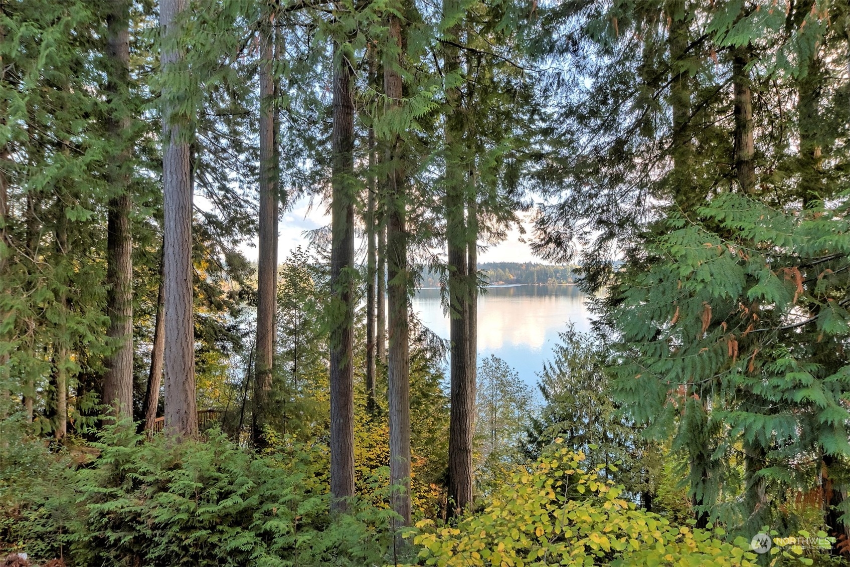 898 Dahman Road Southeast Shelton, WA 98584 - Photo 39 of 40