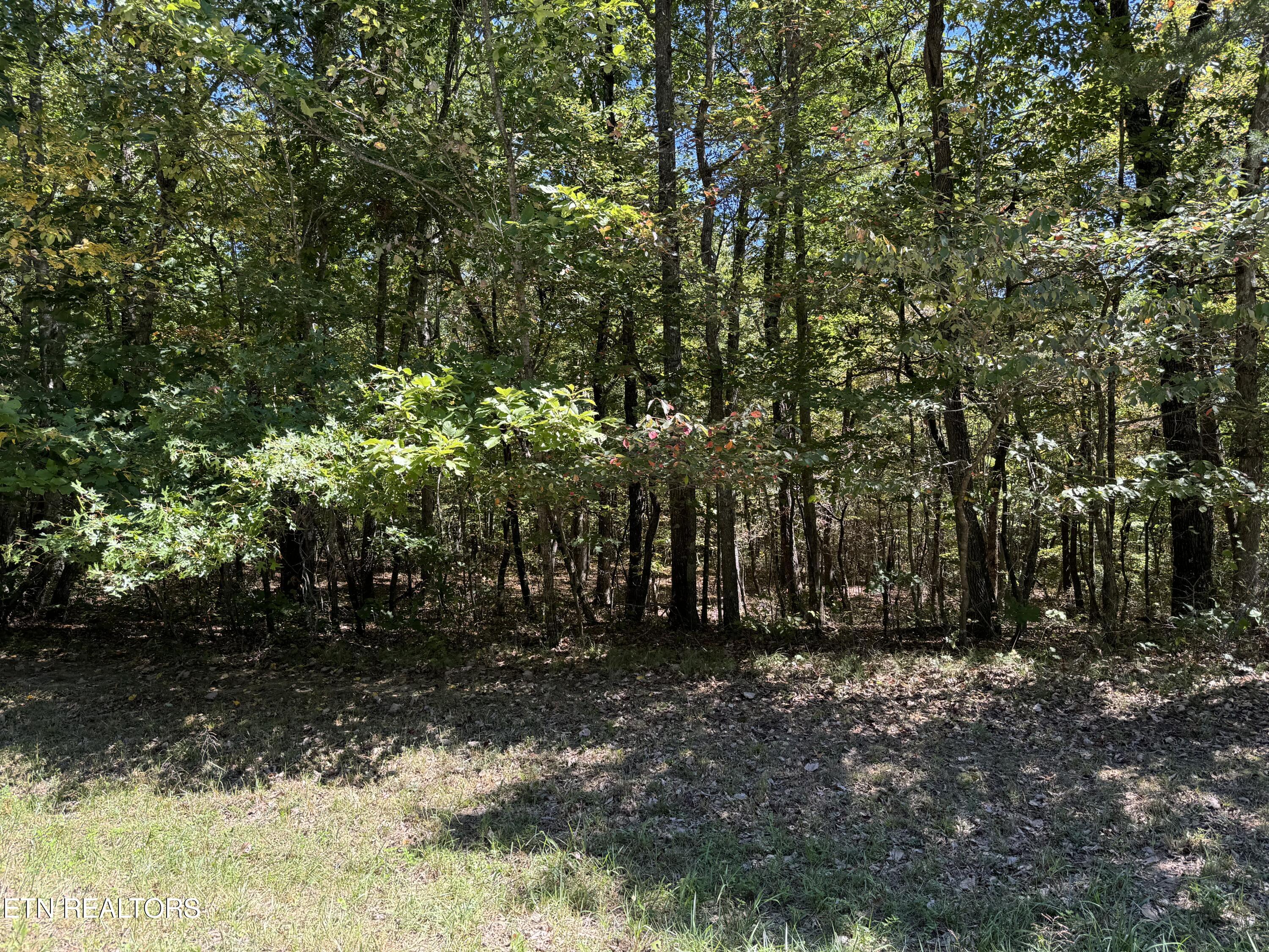 Tower Road, Unit 4 Monterey, TN 38574 - Photo 1 of 7 IMG_0680