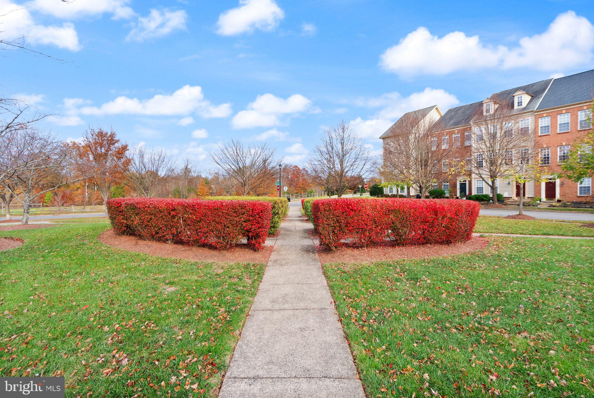 11821 Whitworth Cannon Lane Bristow, VA 20136 - Photo 64 of 70 a view of a park with large trees