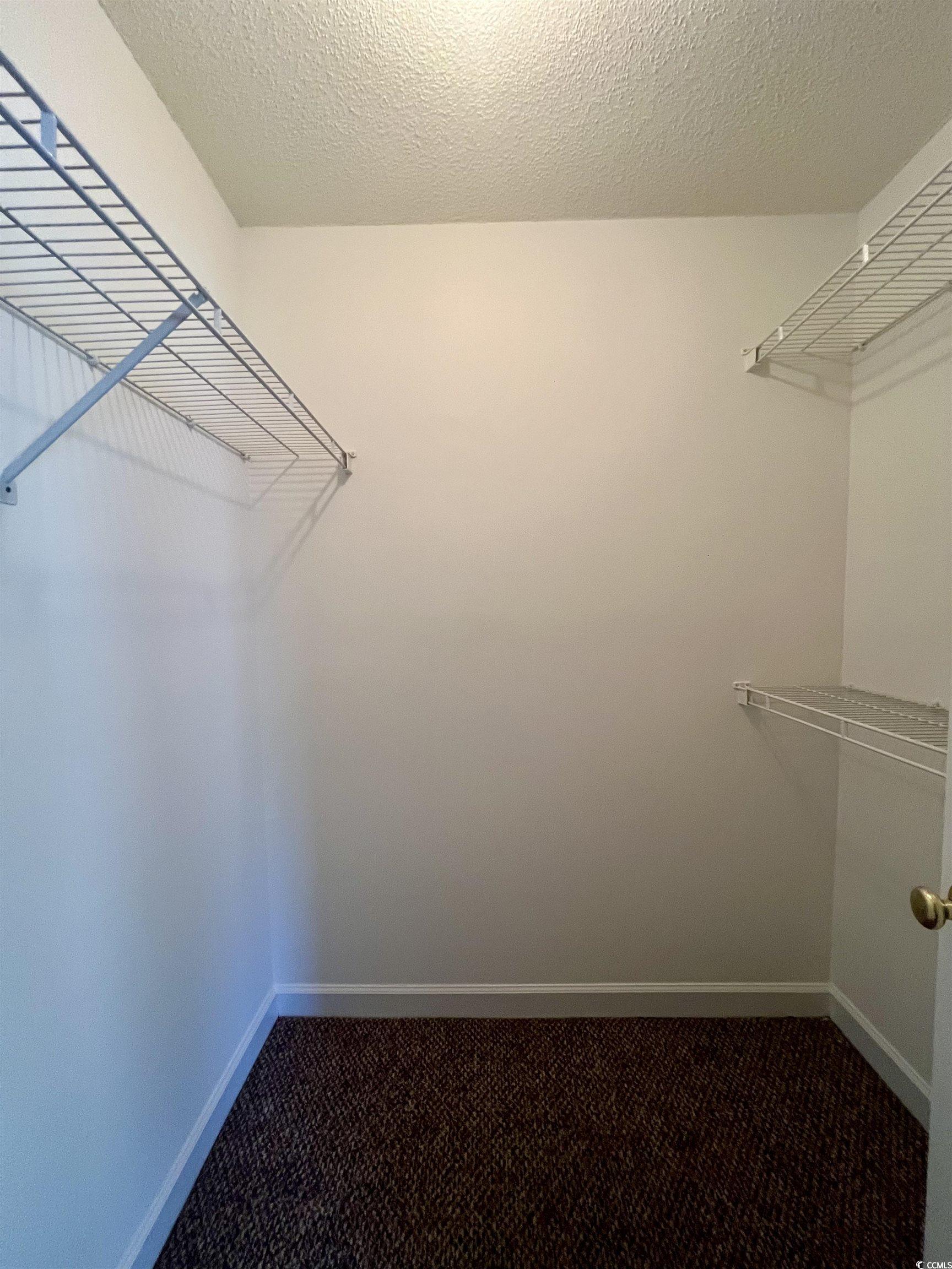 4394 Daphne Lane, Unit F Murrells Inlet, SC 29576 - Photo 22 of 40 Walk in closet featuring carpet floors
