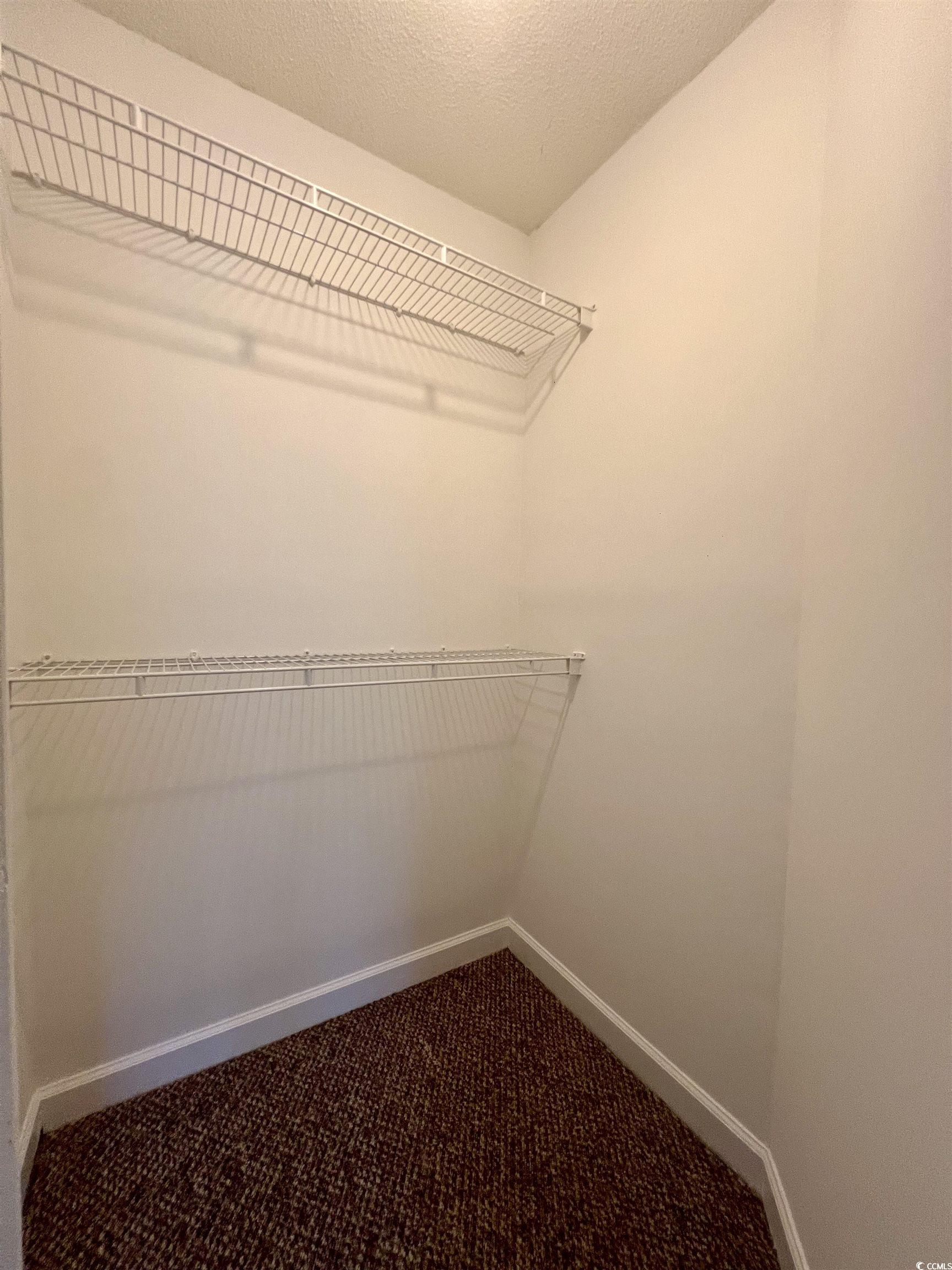 4394 Daphne Lane, Unit F Murrells Inlet, SC 29576 - Photo 24 of 40 Walk in closet featuring dark carpet