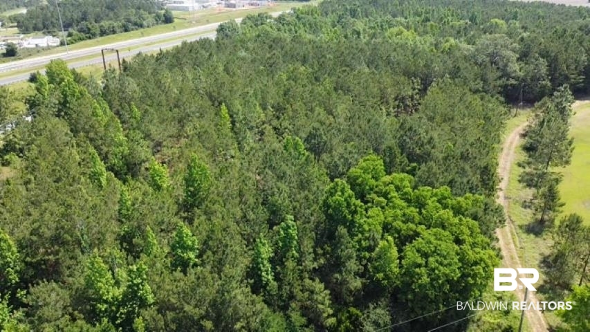 21 Highway 21 Atmore, AL 36502 - Photo 6 of 20