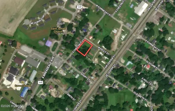 $24,900 | Off Of South Chestnut Street, Mount Olive, NC 28365