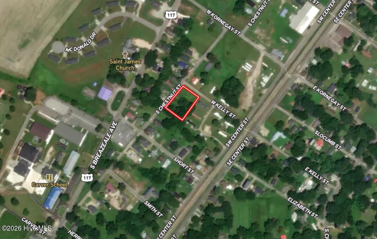 Off Of South Chestnut Street Mount Olive, NC 28365 - Photo 12 of 14 13