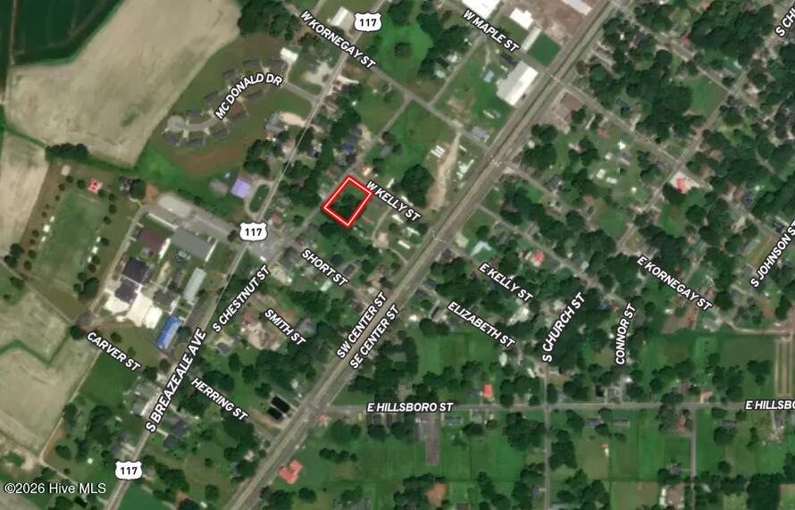 Off Of South Chestnut Street Mount Olive, NC 28365 - Photo 13 of 14 14