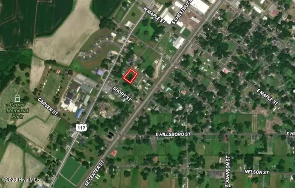 $24,900 | Off Of South Chestnut Street, Mount Olive, NC 28365