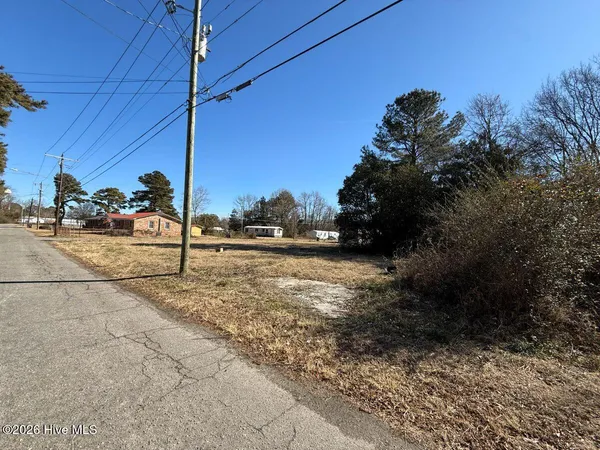 $24,900 | Off Of South Chestnut Street, Mount Olive, NC 28365