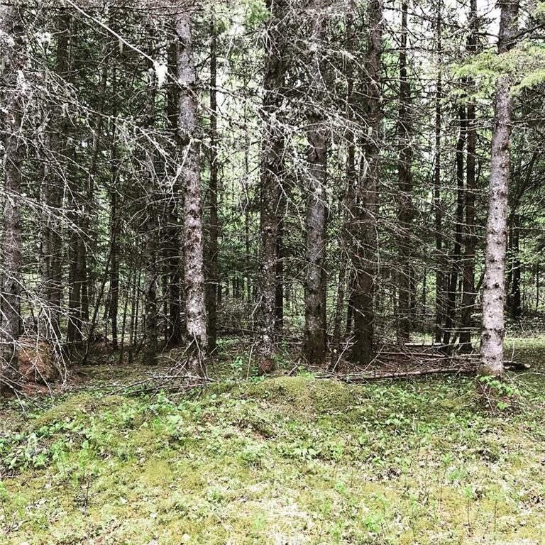 65 Hastings Road Jackman, ME 04945 - Photo 5 of 13 Photo