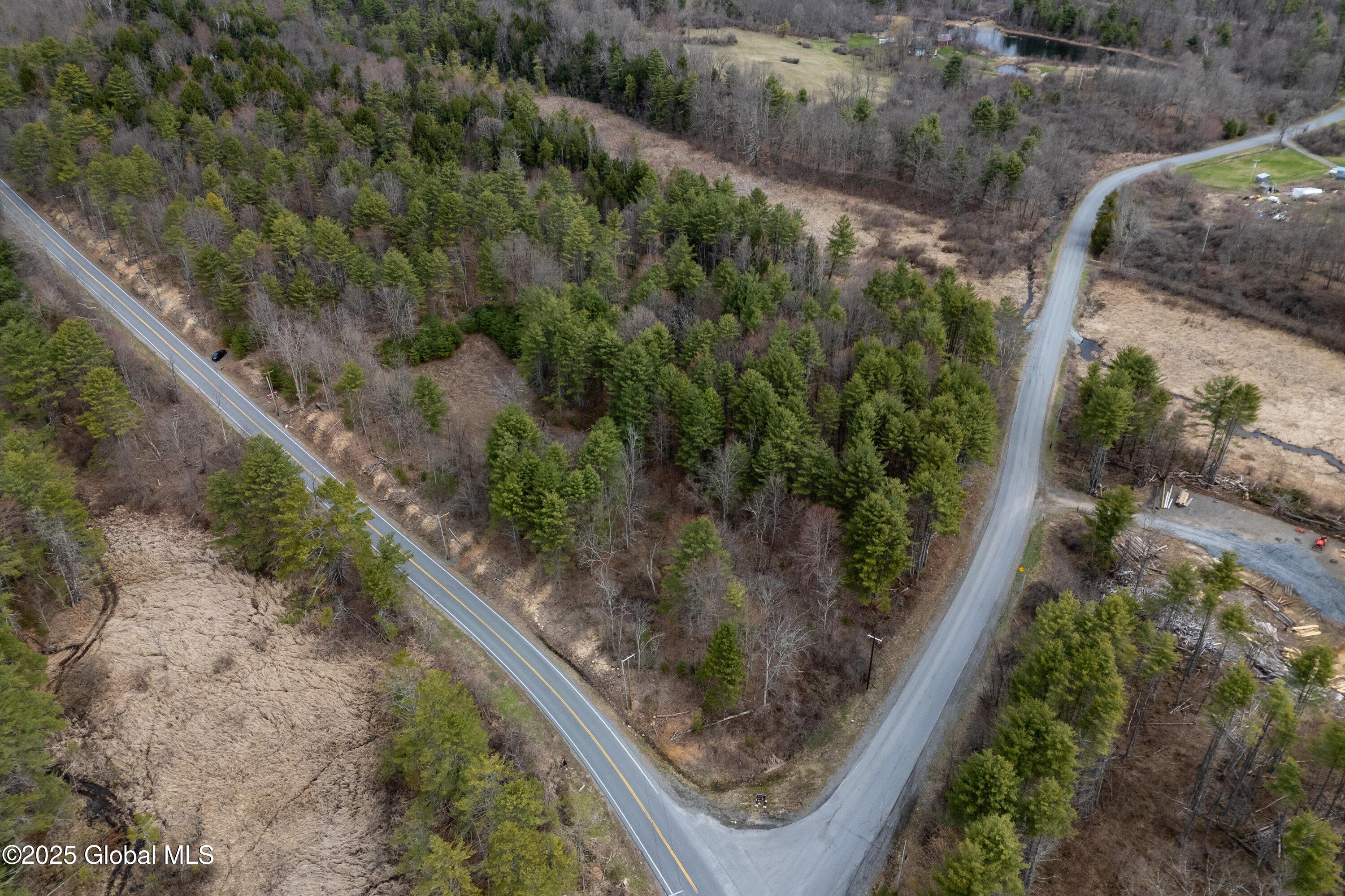 L4 County Rte 21 Whitehall, NY 12887 - Photo 8 of 14 Lot 4 (2)