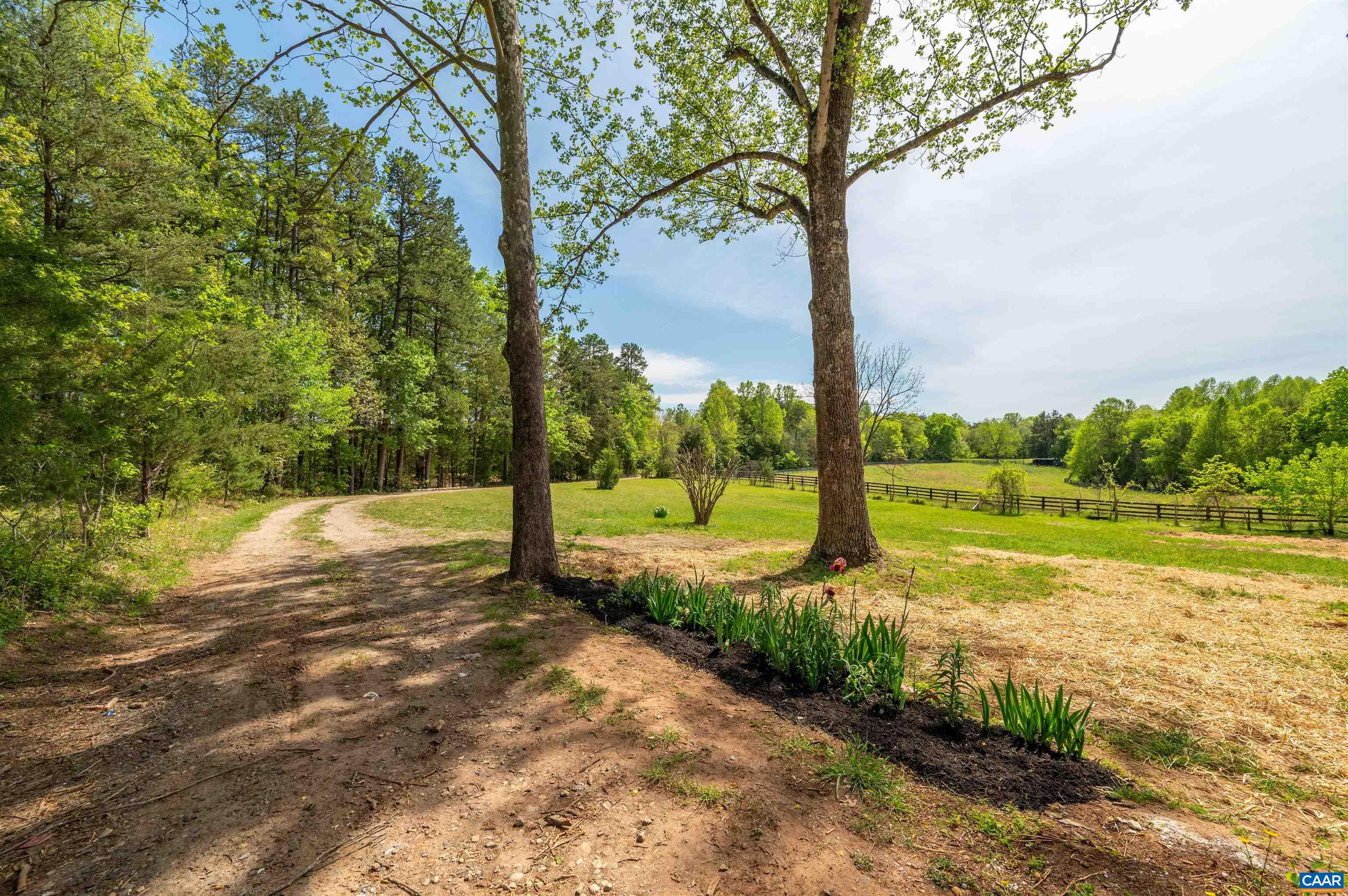 1867 Stage Junction Road Columbia, VA 23038 - Photo 11 of 46 a view of a yard with palm tree
