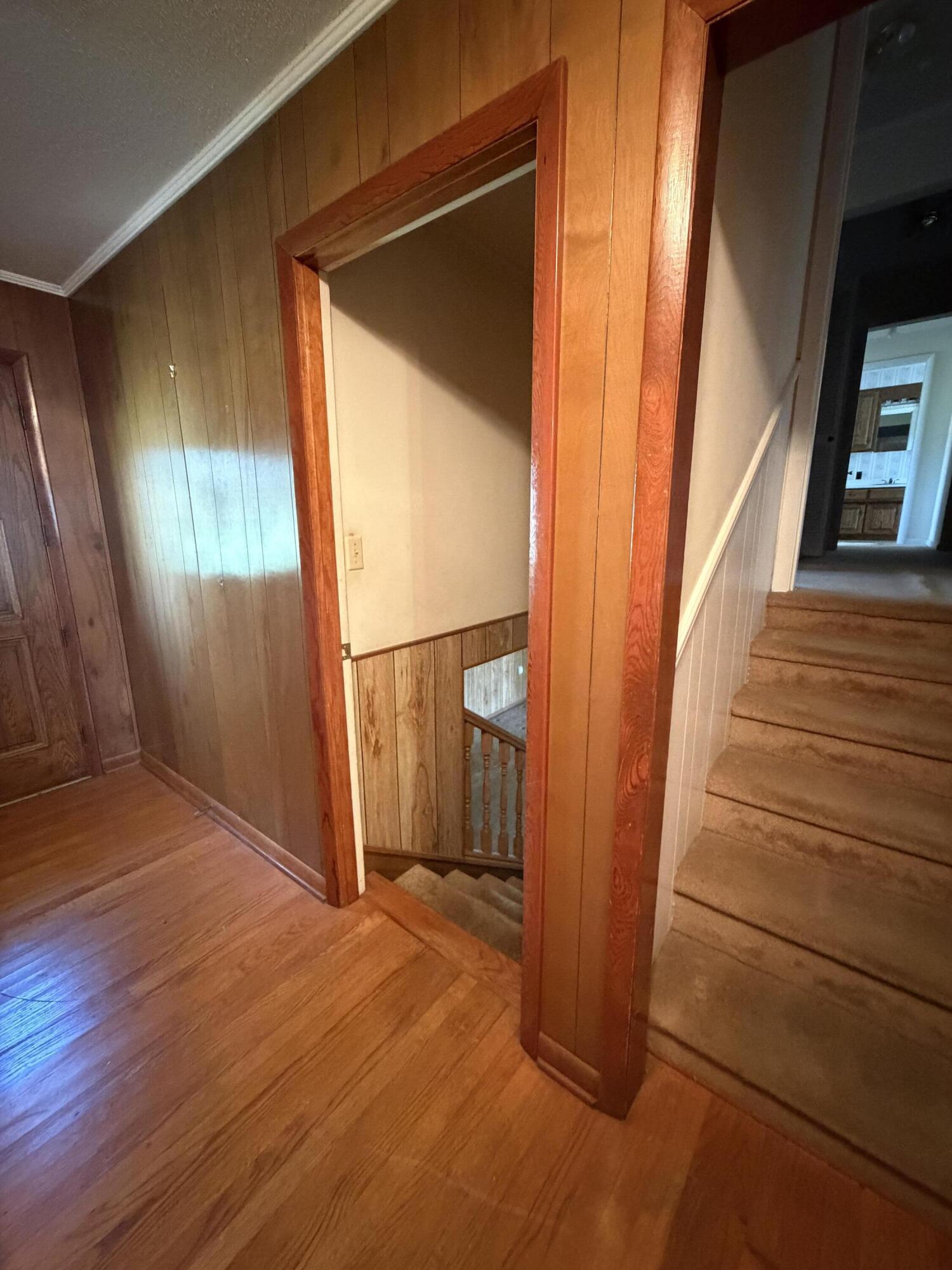 724 Watts Bar Highway Spring City, TN 37381 - Photo 14 of 28 Hall to upper and lower levels