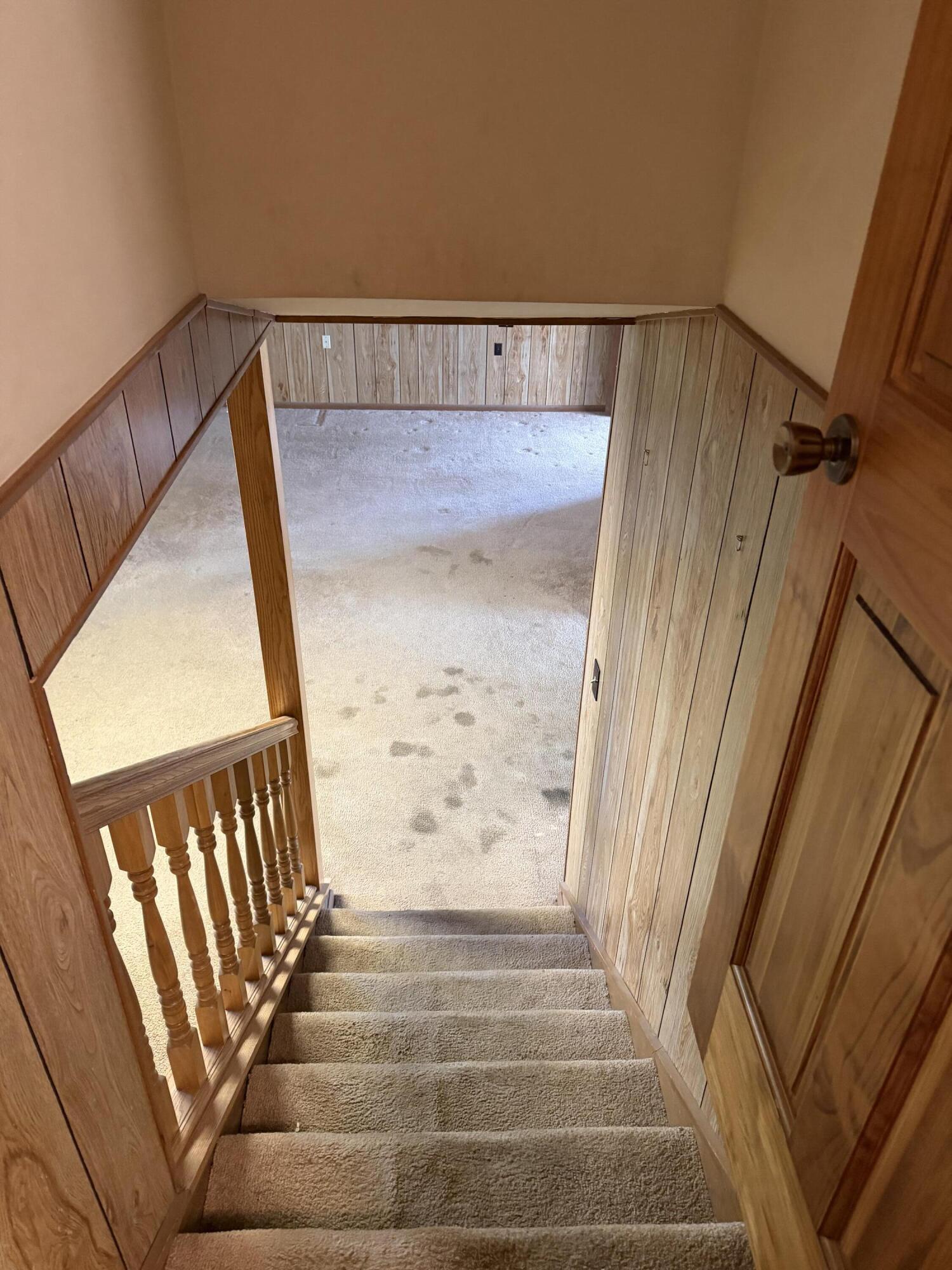 724 Watts Bar Highway Spring City, TN 37381 - Photo 22 of 28 Stairs to lower level