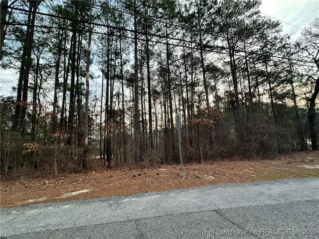 a view of outdoor space with trees